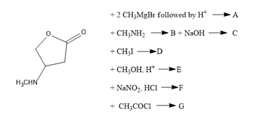 H₂CHN
+2 CH₂MgBr followed by HA
+ CH3NH₂
B+ NaOH
▶C
+ CH₂I
D
+CH₂OH, HE
+NaNO₂, HC1 F
CH3COCI
G