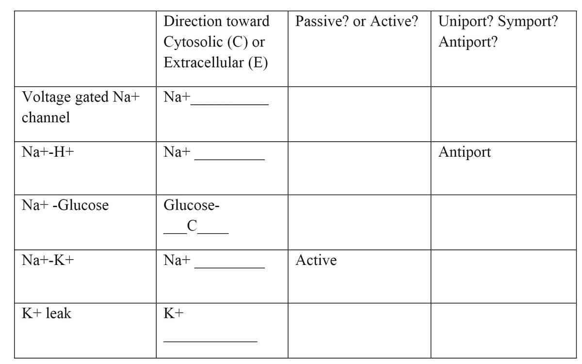Direction toward
Passive? or Active? Uniport? Symport?
Cytosolic (C) or
Extracellular (E)
Antiport?
Voltage gated Na+
Na+
channel
Na+-H+
Na+
Antiport
Na+ -Glucose
Glucose-
Na+-K+
Na+
Active
K+ leak
K+
