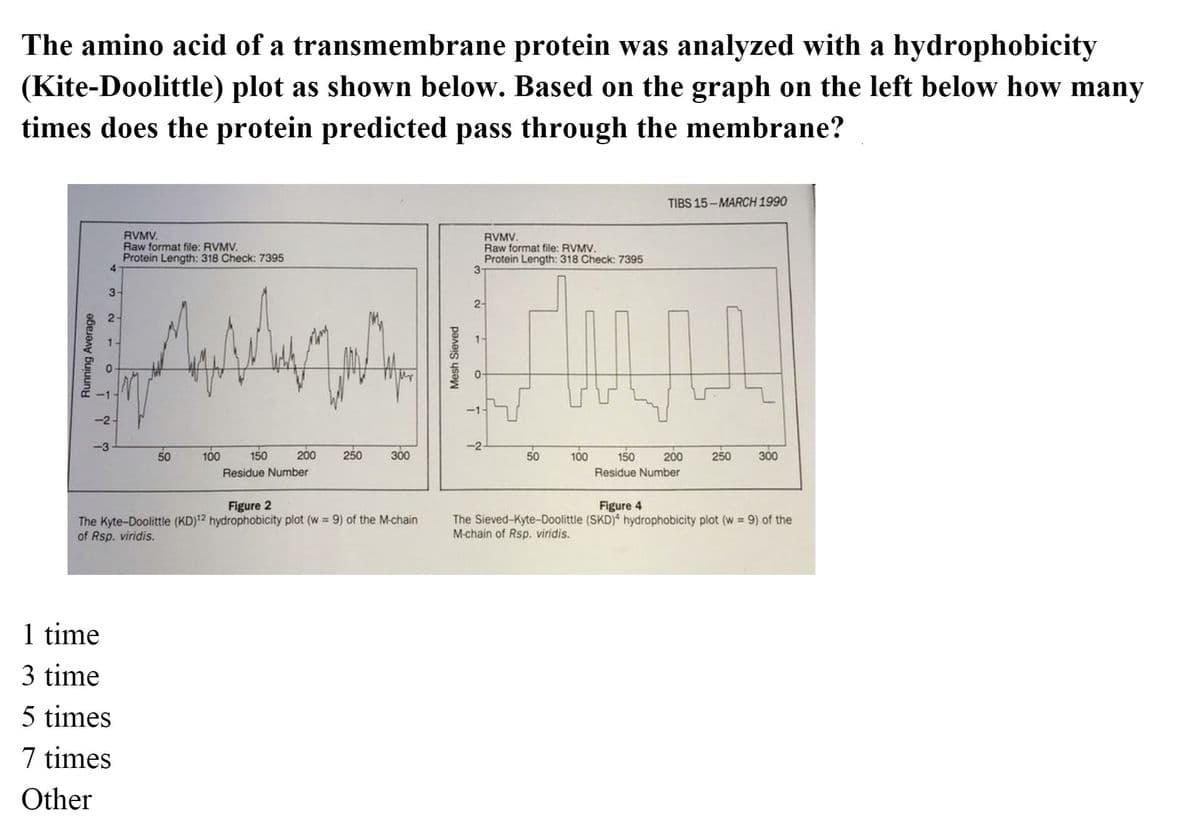 The amino acid of a transmembrane protein was analyzed with a hydrophobicity
(Kite-Doolittle) plot as shown below. Based on the graph on the left below how many
times does the protein predicted pass through the membrane?
TIBS 15-MARCH 1990
RVMV.
Raw format file: RVMV.
Protein Length: 318 Check: 7395
4.
RVMV.
Raw format file: RVMV.
Protein Length: 318 Check: 7395
3
3
2-
2
-2-
--3
-2
50
100
150
200
250
300
50
100
150
200
250
300
Residue Number
Residue Number
Figure 2
Figure 4
The Kyte-Doolittle (KD)12 hydrophobicity plot (w 9) of the M-chain
of Rsp. viridis.
The Sieved-Kyte-Doolittle (SKD)* hydrophobicity plot (w = 9) of the
M-chain of Rsp. viridis.
1 time
3 time
5 times
7 times
Other
Mesh Sieved
