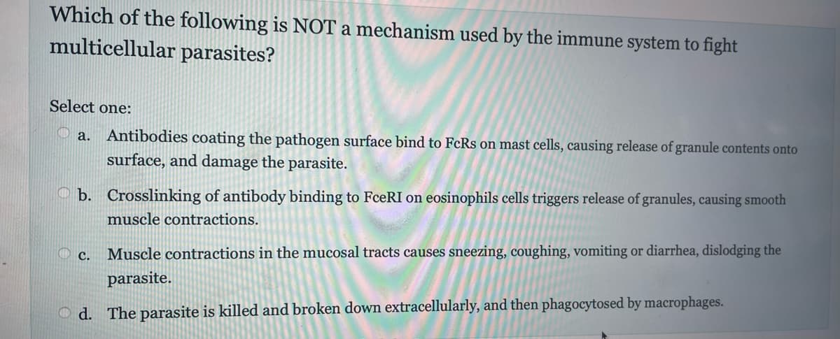 Which of the following is NOT a mechanism used by the immune system to fight
multicellular parasites?
Select one:
a. Antibodies coating the pathogen surface bind to FcRs on mast cells, causing release of granule contents onto
surface, and damage the parasite.
b. Crosslinking of antibody binding to FceRI on eosinophils cells triggers release of granules, causing smooth
muscle contractions.
Muscle contractions in the mucosal tracts causes sneezing, coughing, vomiting or diarrhea, dislodging the
parasite.
d. The parasite is killed and broken down extracellularly, and then phagocytosed by macrophages.
C.