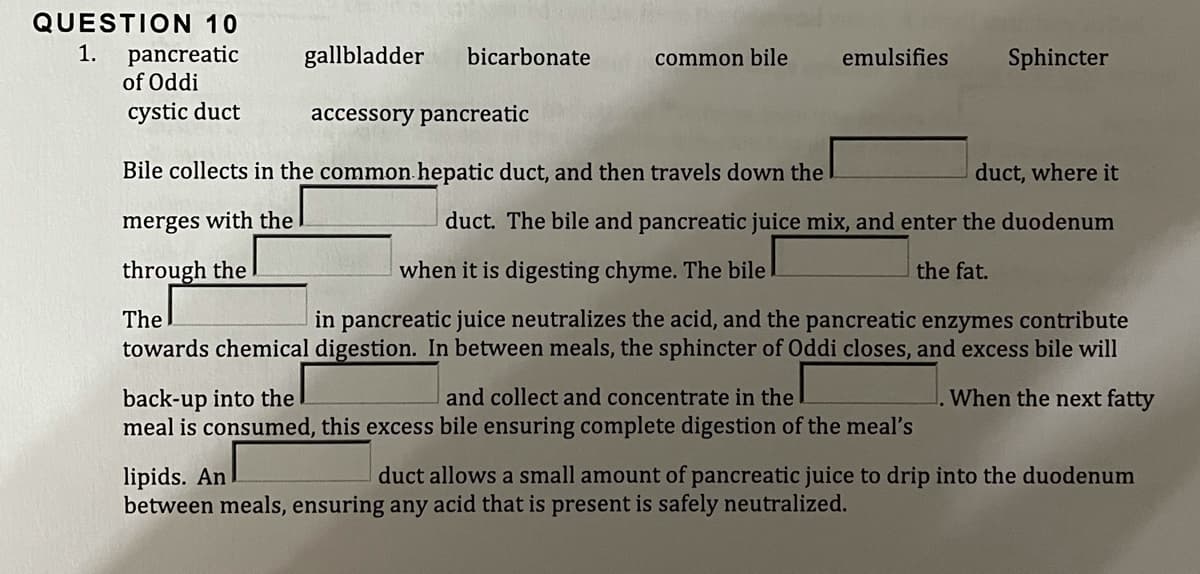 QUESTION 10
1.
pancreatic
of Oddi
gallbladder
bicarbonate
common bile
emulsifies
Sphincter
cystic duct
accessory pancreatic
Bile collects in the common.hepatic duct, and then travels down the
duct, where it
merges with the
duct. The bile and pancreatic juice mix, and enter the duodenum
through the
when it is digesting chyme. The bile
the fat.
in pancreatic juice neutralizes the acid, and the pancreatic enzymes contribute
towards chemical digestion. In between meals, the sphincter of Oddi closes, and excess bile will
The
back-up into the
meal is consumed, this excess bile ensuring complete digestion of the meal's
and collect and concentrate in the
When the next fatty
lipids. An
between meals, ensuring any acid that is present is safely neutralized.
duct allows a small amount of pancreatic juice to drip into the duodenum

