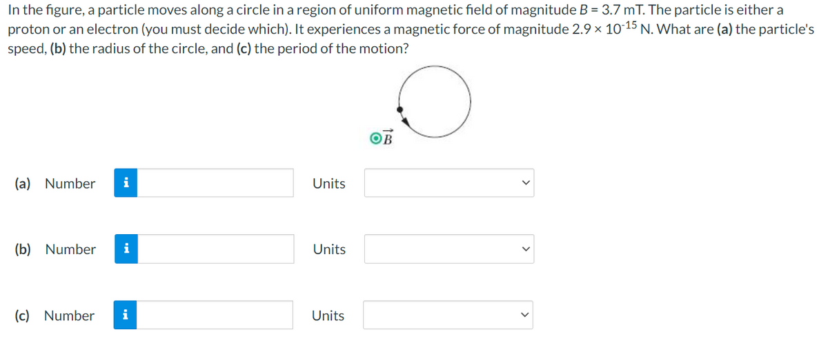 In the figure, a particle moves along a circle in a region of uniform magnetic field of magnitude B = 3.7 mT. The particle is either a
proton or an electron (you must decide which). It experiences a magnetic force of magnitude 2.9 × 10-15 N. What are (a) the particle's
speed, (b) the radius of the circle, and (c) the period of the motion?
(a) Number i
(b) Number i
(c) Number
i
Units
Units
Units
OB