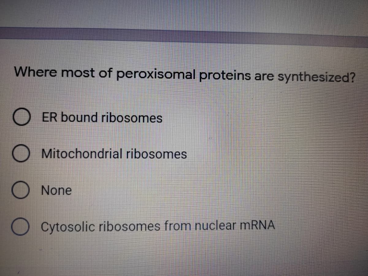 Where most of peroxisomal proteins are synthesized?
ER bound ribosomes
Mitochondrial ribosomes
None
O Cytosolic ribosomes from nuclear mRNA
