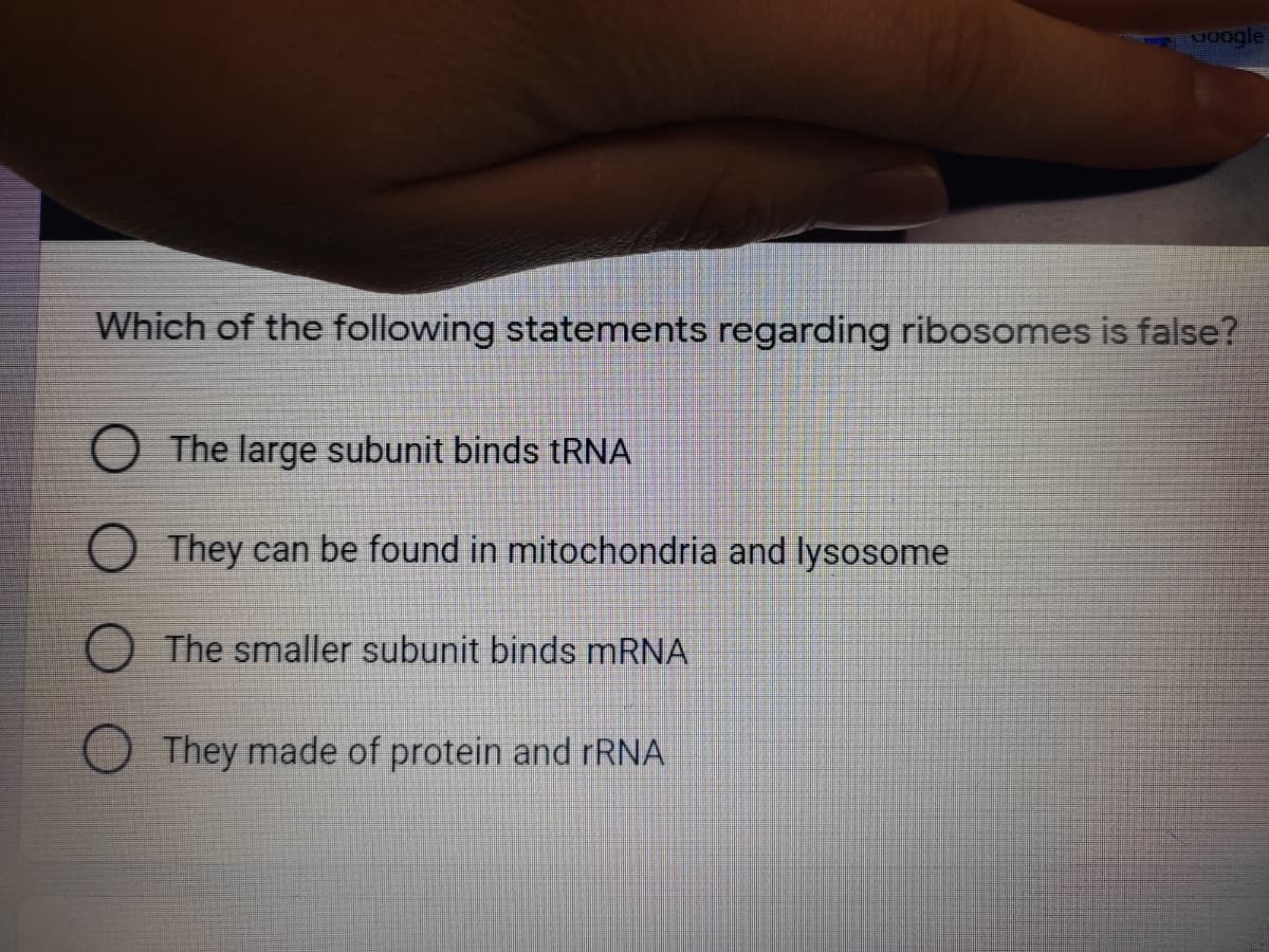 Joogle
Which of the following statements regarding ribosomes is false?
The large subunit binds tRNA
O They can be found in mitochondria and lysosome
The smaller subunit binds mRNA
They made of protein and rRNA
