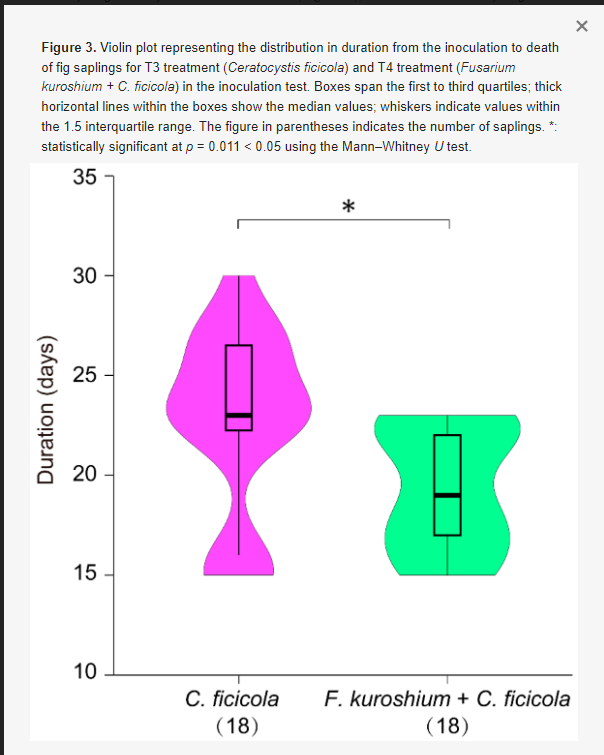 Figure 3. Violin plot representing the distribution in duration from the inoculation to death
of fig saplings for T3 treatment (Ceratocystis ficicola) and T4 treatment (Fusarium
kuroshium + C. ficicola) in the inoculation test. Boxes span the first to third quartiles; thick
horizontal lines within the boxes show the median values; whiskers indicate values within
the 1.5 interquartile range. The figure in parentheses indicates the number of saplings. *:
statistically significant at p = 0.011 < 0.05 using the Mann-Whitney U test.
35
Duration (days)
30
25
20
15
10
C. ficicola
(18)
*
F. kuroshium + C. ficicola
(18)
X