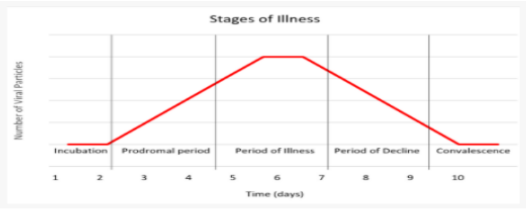 Stages of Illness
Incubation
Prodromal period
Period of illiness
Period of Decline
Convalescence
10
Time (days)
Number of Viral Particles
