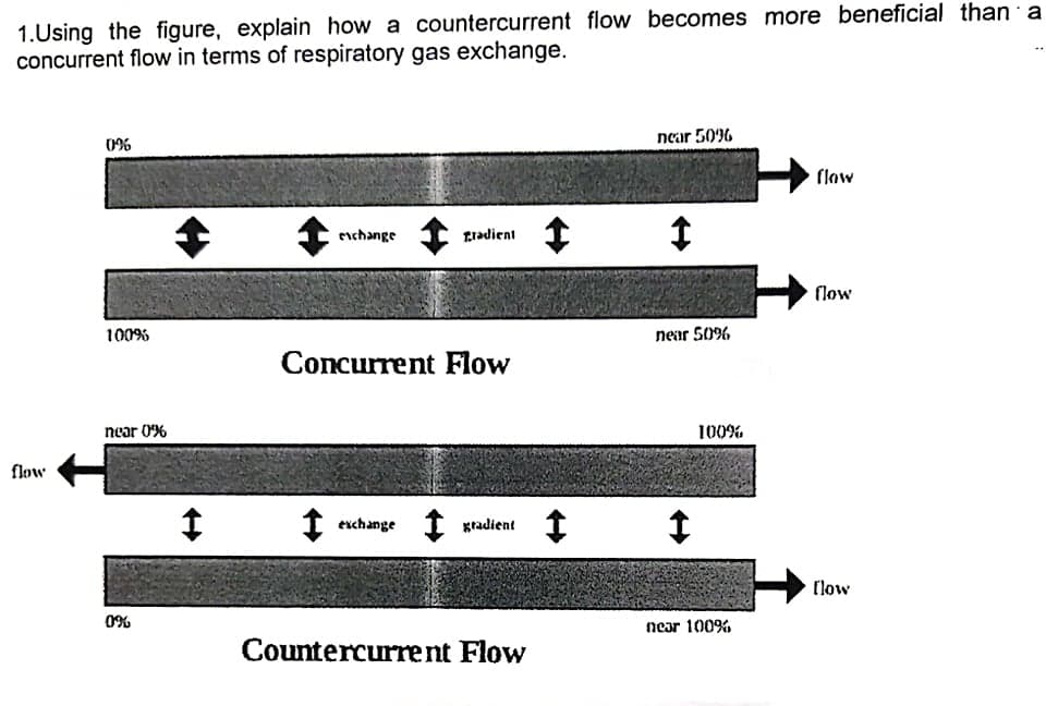 1.Using the figure, explain how a countercurrent flow becomes more beneficial than a
concurrent flow in terms of respiratory gas exchange.
0%
near 50%
flow
enchange
Lradient
flow
100%
near 50%
Concurrent Flow
near 0%
100%
flow
I exchange I gradient 1
(low
0%
near 100%
Countercurrent Flow
