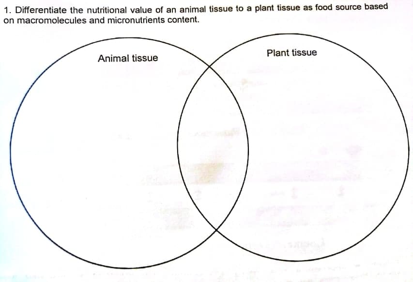 1. Differentiate the nutritional value of an animal tissue to a plant tissue as food source based
on macromolecules and micronutrients content.
Plant tissue
Animal tissue
