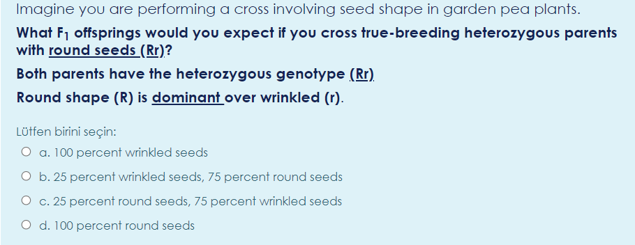 Imagine you are performing a cross involving seed shape in garden pea plants.
What F1 offsprings would you expect if you cross true-breeding heterozygous parents
with round seeds (Rr)?
Both parents have the heterozygous genotype (Rr).
Round shape (R) is dominant over wrinkled (r).
Lüffen birini seçin:
O a. 100 percent wrinkled seeds
O b. 25 percent wrinkled seeds, 75 percent round seeds
O c. 25 percent round seeds, 75 percent wrinkled seeds
O d. 100 percent round seeds
