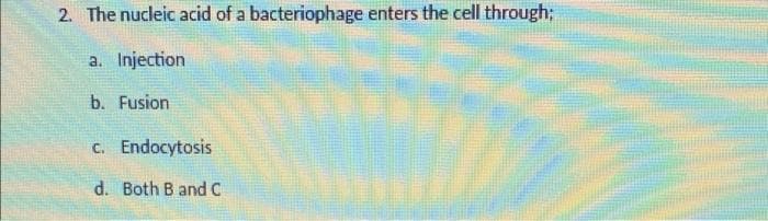 2. The nucleic acid of a bacteriophage enters the cell through;
a. Injection
b. Fusion
c. Endocytosis
d. Both B and C
