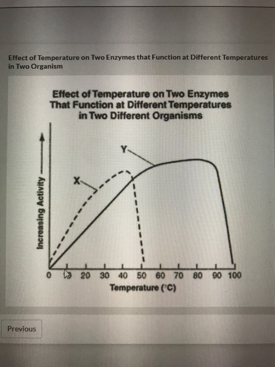 Effect of Temperature on Two Enzymes that Function at Different Temperatures
in Two Organism
Effect of Temperature on Two Enzymes
That Function at Different Temperatures
in Two Different Organisms
0 20 30 40 50 60 70 80 90 100
Temperature (C)
Previous
Increasing Activity-
