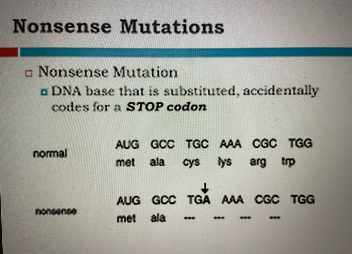 Nonsense Mutations
a Nonsense Mutation
o DNA base that is substituted, accidentally
codes for a STOP codon
AUG GCC TGC AAA CGC TGG
normal
met
ala
cys
lys
arg trp
AUG GCC TGA AAA CGC TGG
nonsense
met
ala

