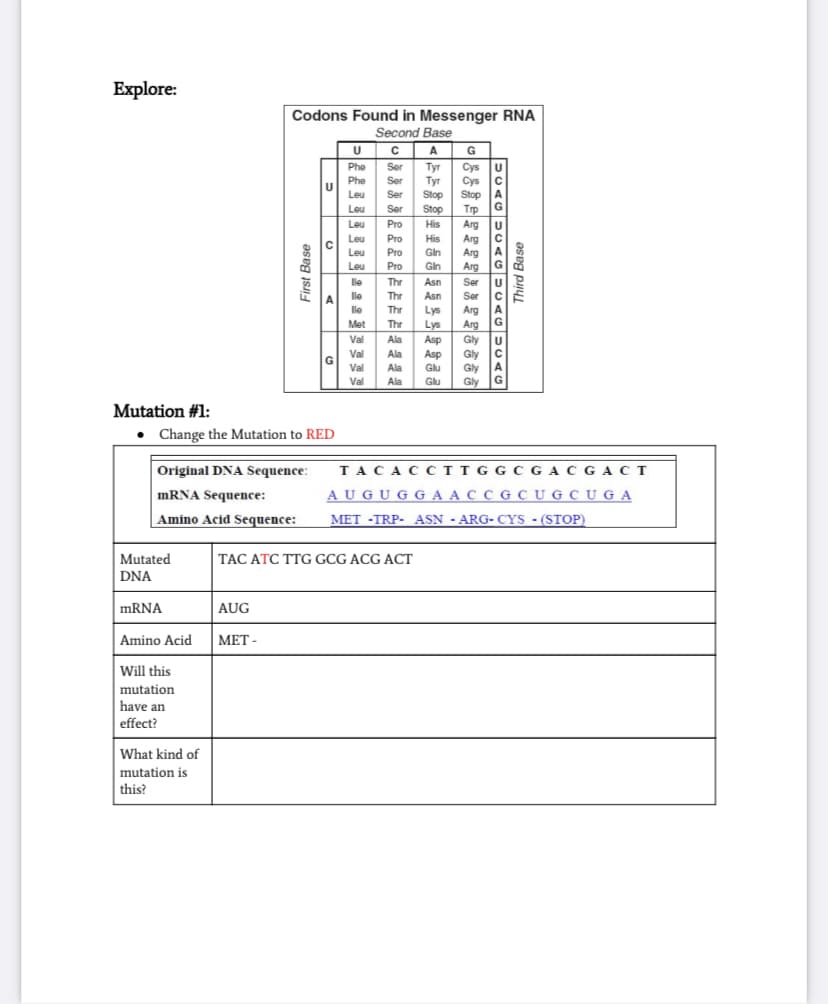 Explore:
Codons Found in Messenger RNA
Second Base
U C A
Cys u
Cys c
Stop A
G
Phe
Ser
Tyr
Tyr
Stop
Stop
His
Phe
Ser
Leu
Ser
Leu
Ser
Trp
Leu
Pro
Arg
Arg
Arg
G
Leu
Pro
His
Leu
Pro
Gin
Leu
Pro
Gln
Arg
le
Thr
Asn
Ser
U
A
lle
Thr
Asn
Ser
le
Thr
A
Lys
Lys
Arg
Arg
Gly
Gly
A
Met
Thr
Val
Ala
Asp
Val
G
Val
Ala
Asp
Glu
Ala
Gly
Gly
Val
Ala
Glu
Mutation #1:
• Change the Mutation to RED
Original DNA Sequence:
TACAC CTTGG CCGACGACT
mRNA Sequence:
A UGUG GA ACCG CUG C UGA
Amino Acid Sequence:
MET -TRP- ASN - ARG- CYS - (STOP)
Mutated
TAC ATC TTG GCG ACG ACT
DNA
mRNA
AUG
Amino Acid
МЕТ-
MET -
Will this
mutation
have an
effect?
What kind of
mutation is
this?
First Base
Third Base
