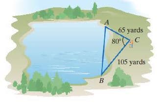 A
65 yards
80°
C
105 yards
В
