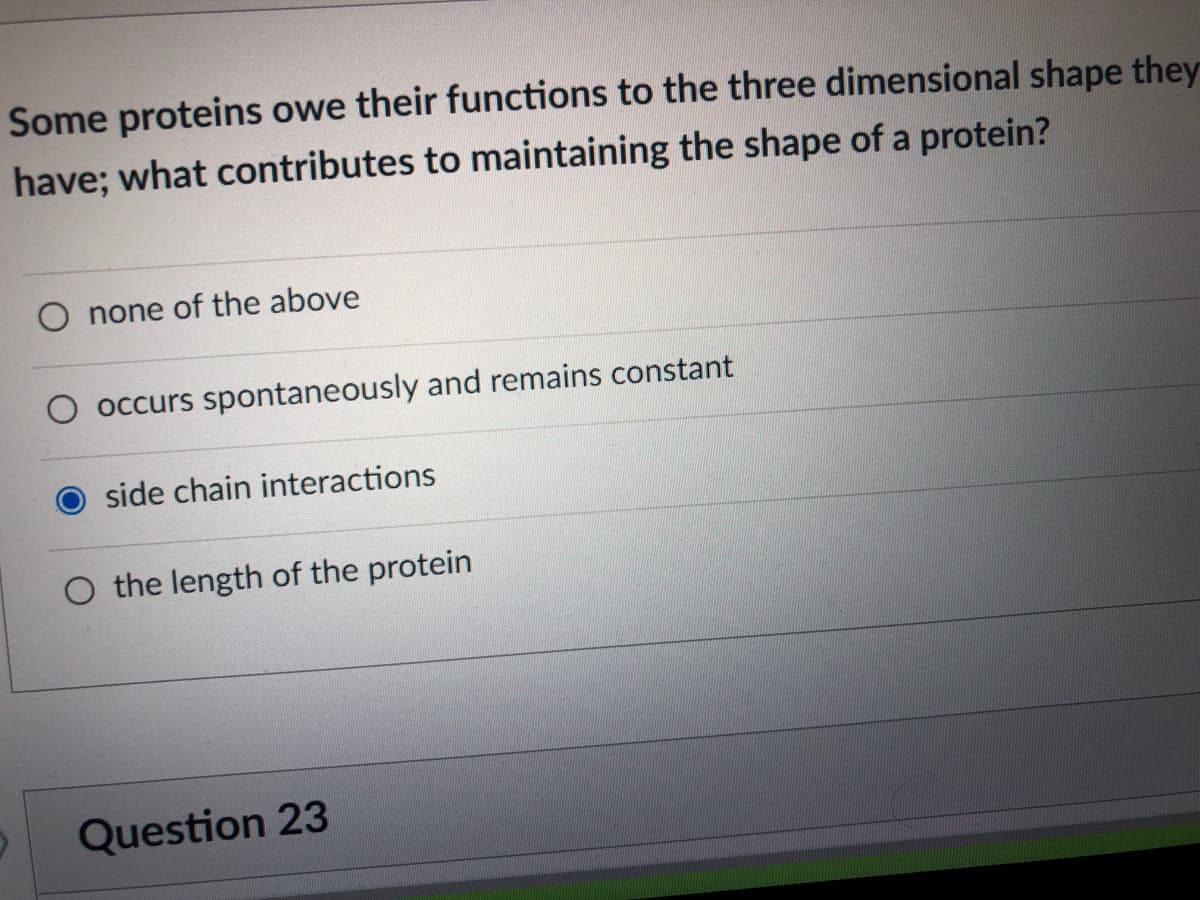 Some proteins owe their functions to the three dimensional shape they
have; what contributes to maintaining the shape of a protein?
O none of the above
occurs spontaneously and remains constant
side chain interactions
O the length of the protein
Question 23
