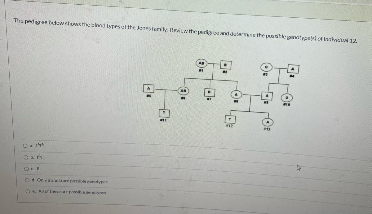 The pedigree below shows the blood types of the Jones family. Review the pedigree and determine the possible genotype(s) of individual 12.
AB
#1
# 2
#3
24
A.
AB
#5
創7
#10
11
#12
#13
O a. AJA
O b. Ai
O c. ii
O d. Only a and b are possible genotypes
O e. All of these are possible genotypes
