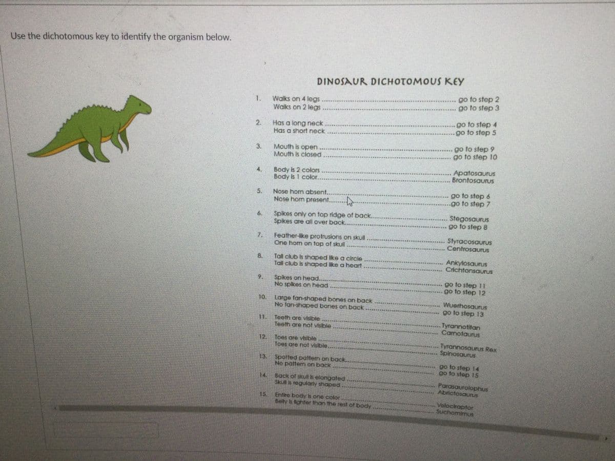 Use the dichotomous key to identify the organism below.
DINOSAUR DICHOTOMOUS KEY
go to step 2
go to step 3
1.
Walks on 4 legs.
Walks on 2 legs
Has a long neck.
Has a short neck
go to step 4
go to step 5
2.
go to step 9
go to step 10
3.
Mouth is open..
Mouth is closed
Body is 2 colors
Body is 1 color.
Apatosaurus
Brontosaurus
go to step 6
go to step 7
5.
Nose horn absent..
Nose hom present.... *
Spikes only on top ridge of back.....
Spikes are all over back..
Stegosaurus
go to step 8
6.
Feather-like protrusions on skull.
StyracosauruS
Controsaurus
7.
One hom on top of skul
Tall club is shaped like a circle
Tall club is shaped like a heart
8.
Ankylosaunus
Crichtonsaurus
Spikes on head...
No splkes on head
9.
go to step 11
go to step 12
10.
Large fan-shaped bones on back
Wuerhosaurus
go lo step 13
No tan-shapped bones on bock
11.
Teeth are visible
Teeth are not Visible
Tyrannotitan
Camotaurus
12.
Toes are visible
Toes are not visble.. *
Tyrannosaurus Rex
Spinosaurus.
13.
Spotted patten on back..
go to step 14
go to step 1S
No pattem on back
14.
Back of skull is elongated
Parasaurolophus
Abrictosaurus
Skull is regularly shaped
15
Entire body is ono color
Volociraptor
SuchomimuS
Belly is llahter than the rest of body
