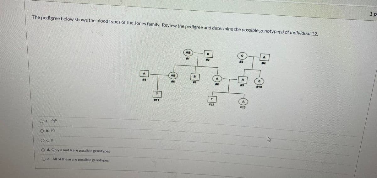 1 p
The pedigree below shows the blood types of the Jones family. Review the pedigree and determine the possible genotype(s) of individual 12.
AB
AB
#11
#12
#13
O a. AA
O b. 1A
Oc. i
O d. Only a and b are possible genotypes
O e. All of these are possible genotypes
