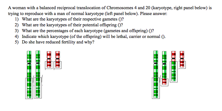 A woman with a balanced reciprocal translocation of Chromosomes 4 and 20 (karyotype, right panel below) is
trying to reproduce with a man of normal karyotype (left panel below). Please answer:
1) What are the karyotypes of their respective gametes ()?
2) What are the karyotypes of their potential offspring ()?
3) What are the percentages of each karyotype (gametes and offspring) ()?
4) Indicate which karyotype (of the offspring) will be lethal, carrier or normal ().
5) Do she have reduced fertility and why?
