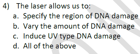 4) The laser allows us to:
a. Specify the region of DNA damage
b. Vary the amount of DNA damage
c. Induce UV type DNA damage
d. All of the above
