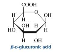 СООН
ОН
Н
н
ОН Н
НО
Н
н он
B-D-glucuronic acid
