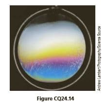 Figure CQ24.14
Andraw Lambart Photographw/Science Source
