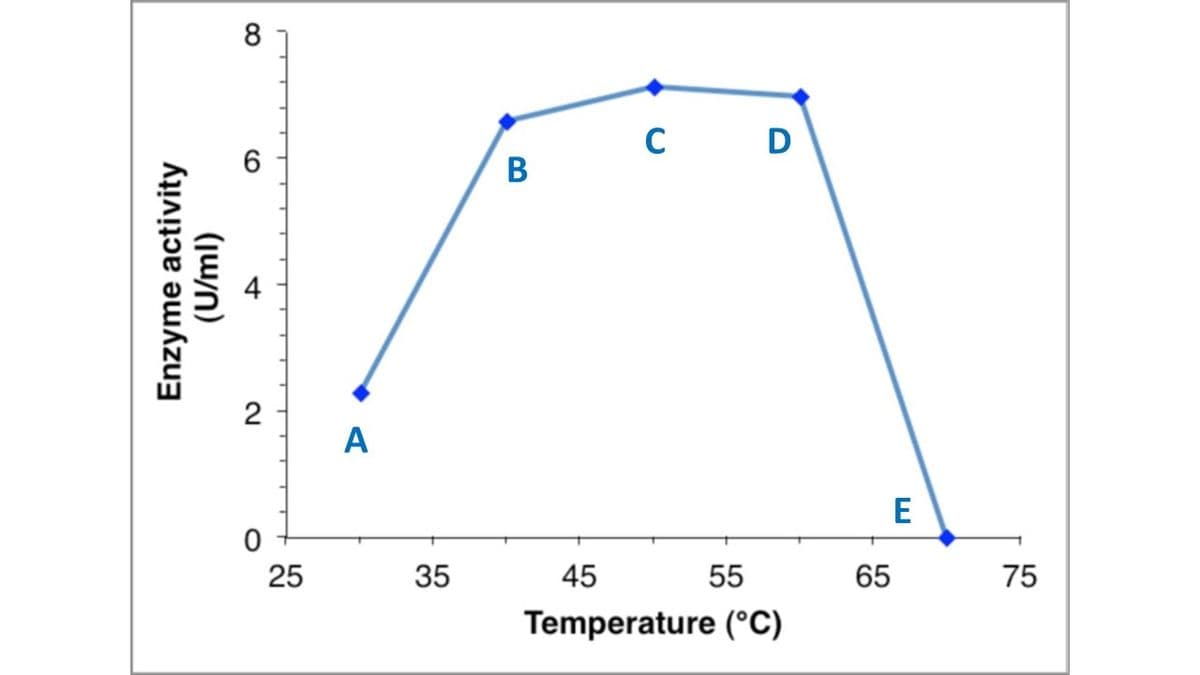 C
В
4
A
E
25
35
45
55
65
75
Temperature (°C)
2.
(jw/n)
Enzyme activity
