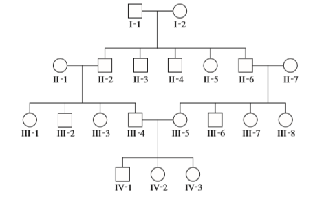 I-1
I-2
П-1
П-2
П-3
II-4
II-5
П-6
П-7
III-1
III-2
III-3
III -4
III-5
III-6
III-7
III-8
IV-1
IV-2
IV-3
