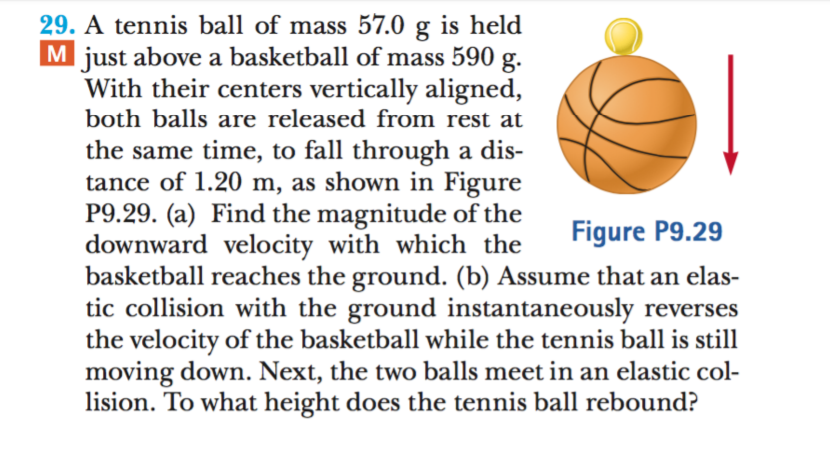 29. A tennis ball of mass 57.0 g is held
M just above a basketball of mass 590 g.
With their centers vertically aligned,
both balls are released from rest at
the same time, to fall through a dis-
tance of 1.20 m, as shown in Figure
P9.29. (a) Find the magnitude of the
downward velocity with which the
basketball reaches the ground. (b) Assume that an elas-
tic collision with the ground instantaneously reverses
the velocity of the basketball while the tennis ball is still
moving down. Next, the two balls meet in an elastic col-
lision. To what height does the tennis ball rebound?
Figure P9.29
