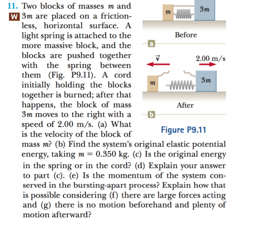 11. Two blocks of masses m and
w 3m are placed on a friction-
less, horizontal surface. A
light spring is attached to the
more massive block, and the
blocks are pushed together
with the spring between
them (Fig. P9.11). A cord
initially holding the blocks
together is burned; after that
happens, the block of mass
3m moves to the right with a
speed of 2.00 m/s. (a) What
is the velocity of the block of
mass m? (b) Find the system's original elastic potential
energy, taking m = 0.350 kg. (c) Is the original energy
in the spring or in the cord? (d) Explain your answer
to part (c). (e) Is the momentum of the system con-
served in the bursting-apart process? Explain how that
is possible considering (f) there are large forces acting
and (g) there is no motion beforehand and plenty of
motion afterward?
Зт
т
Before
2.00 m/s
Зт
m WWWW
After
Figure P9.11

