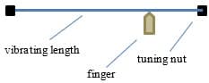 vibrating length
tuning nut
finger
