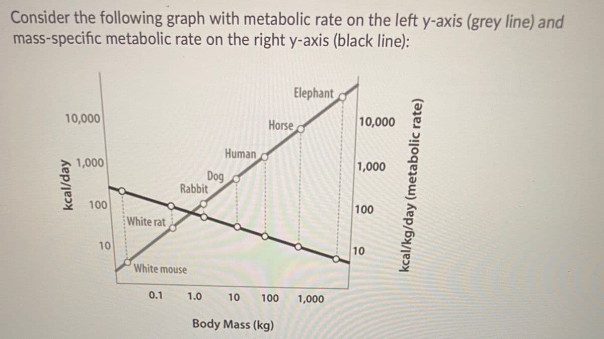 Consider the following graph with metabolic rate on the left y-axis (grey line) and
mass-specific metabolic rate on the right y-axis (black line):
Elephant
10,000
Horse
10,000
Human
1,000
1,000
Dog
Rabbit
100
100
White rat
10
10
White mouse
0.1
1.0
10
100
1,000
Body Mass (kg)
kcal/day
kcal/kg/day (metabolic rate)
