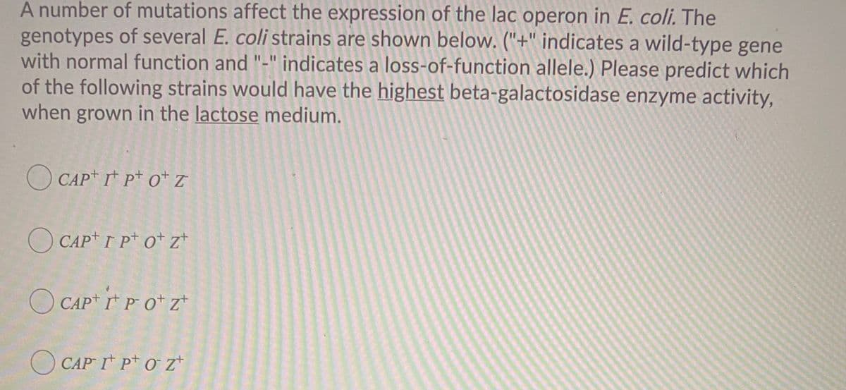 A number of mutations affect the expression of the lac operon in E. coli. The
genotypes of several E. coli strains are shown below. ("+" indicates a wild-type gene
with normal function and "-" indicates a loss-of-function allele.) Please predict which
of the following strains would have the highest beta-galactosidase enzyme activity,
when grown in the lactose medium.
O CAP+ r* p* o* z
O CAP* I P* o* z*
O CAP* r* P O* z*
O CAP I P* O z*
