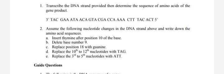 1. Transcribe the DNA strand provided then determine the sequence of amino acids of the
gene product.
3' TAC GAA ATA ACA GTA CGA CCA AAA CTT TAC ACT S
2. Assume the following nucleotide changes in the DNA strand above and write down the
amino acid sequences.
a. Insert thymine after position 10 of the base.
b. Delete base number 9.
c. Replace position 18 with guanine.
d. Replace the 10th to 12h nucleotides with TAG.
e. Replace the 3d to 5th nucleotides with ATT.
Guide Questions
