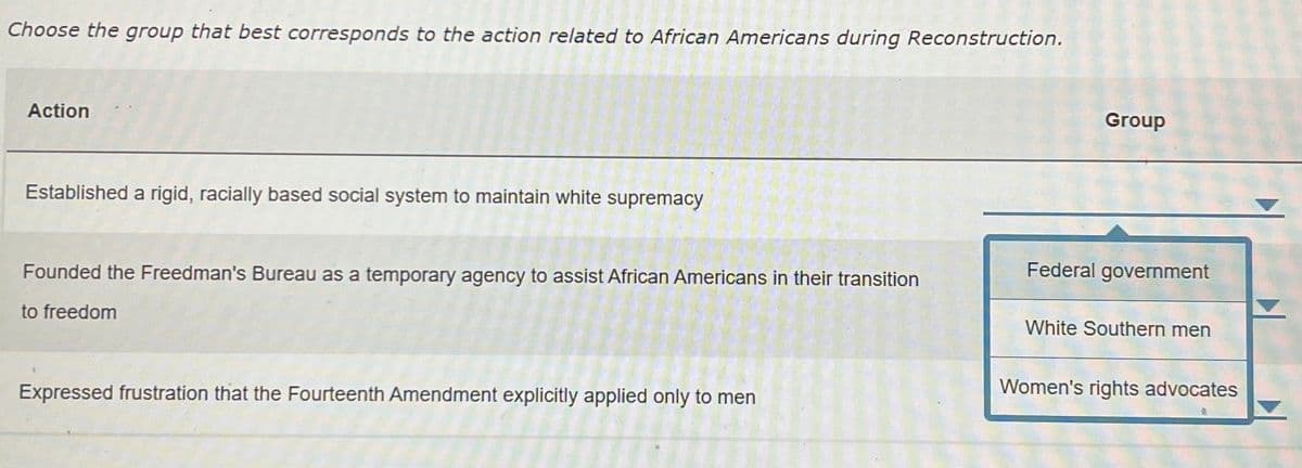 Choose the group that best corresponds to the action related to African Americans during Reconstruction.
Action
Group
Established a rigid, racially based social system to maintain white supremacy
Founded the Freedman's Bureau as a temporary agency to assist African Americans in their transition
Federal government
to freedom
White Southern men
Expressed frustration that the Fourteenth Amendment explicitly applied only to men
Women's rights advocates
