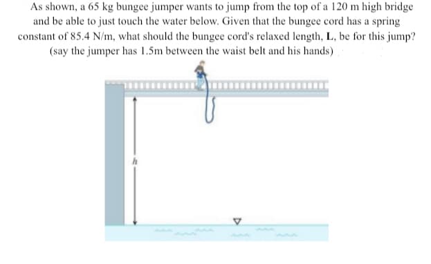 As shown, a 65 kg bungee jumper wants to jump from the top of a 120 m high bridge
and be able to just touch the water below. Given that the bungee cord has a spring
constant of 85.4 N/m, what should the bungee cord's relaxed length, L, be for this jump?
(say the jumper has 1.5m between the waist belt and his hands)
