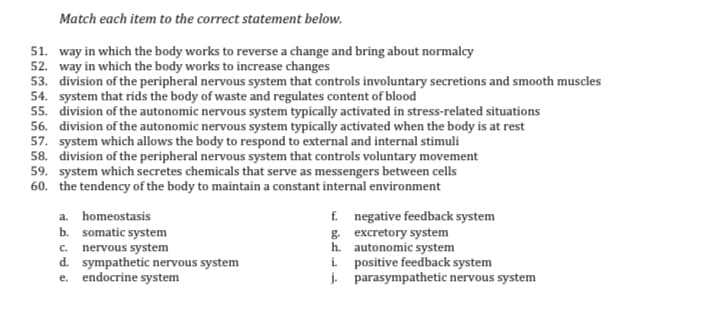 Match each item to the correct statement below.
51. way in which the body works to reverse a change and bring about normalcy
52. way in which the body works to increase changes
53. division of the peripheral nervous system that controls involuntary secretions and smooth muscles
54. system that rids the body of waste and regulates content of blood
55. division of the autonomic nervous system typically activated in stress-related situations
56. division of the autonomic nervous system typically activated when the body is at rest
57. system which allows the body to respond to external and internal stimuli
58. division of the peripheral nervous system that controls voluntary movement
59. system which secretes chemicals that serve as messengers between cells
60. the tendency of the body to maintain a constant internal environment
f. negative feedback system
g. excretory system
h. autonomic system
i positive feedback system
j. parasympathetic nervous system
a. homeostasis
b. somatic system
c. nervous system
d. sympathetic nervous system
e. endocrine system
