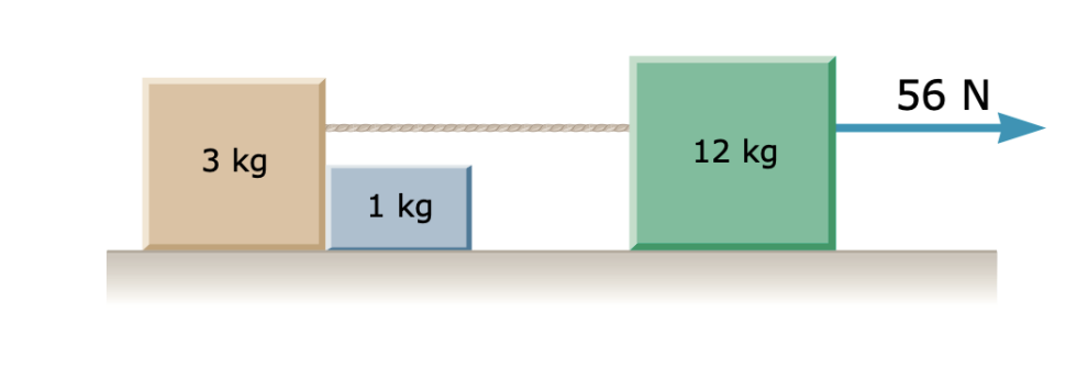 56 N
12 kg
3 kg
1 kg
