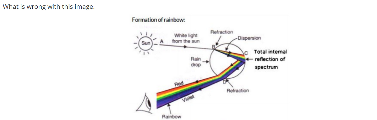 What is wrong with this image.
Formation of rainbow.
Refraction
White light
from the sun
Sun
-Dispersion
Total internal
Rain
drop
reflection of
spectrum
Red
Refraction
Violet
Rainbow
