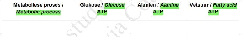 Metaboliese proses /
Glukose / Glucose
Alanien / Alanine
Vetsuur / Fatty acid
Metabolic process
ATP
ATP
ATP
