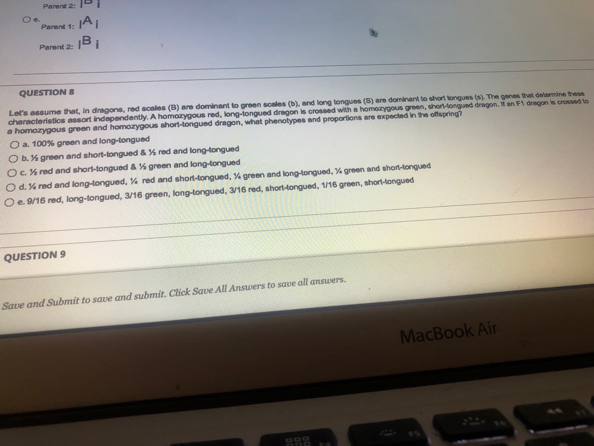 O e.
Parent 2:
Parent 1:
Parent 2:
¡Ai
QUESTION 9
Bi
QUESTION 8
Let's assume that, in dragons, red scales (B) are dominant to green scales (b), and long tongues (S) are dominant to short tongues (s). The genes that determine these
characteristics assort independently. A homozygous red, long-tongued dragon is crossed with a homozygous green, short-tongued dragon. If an F1 dragon is crossed to
a homozygous green and homozygous short-tongued dragon, what phenotypes and proportions are expected in the offspring?
O a. 100% green and long-tongued
O b. ½ green and short-tongued & ½ red and long-tongued
O c. ½ red and short-tongued & ½ green and long-tongued
O d.% red and long-tongued, % red and short-tongued, ½ green and long-tongued, % green and short-tongued
O e. 9/16 red, long-tongued, 3/16 green, long-tongued, 3/16 red, short-tongued, 1/16 green, short-tongued
Save and Submit to save and submit. Click Save All Answers to save all answers.
000
MacBook Air