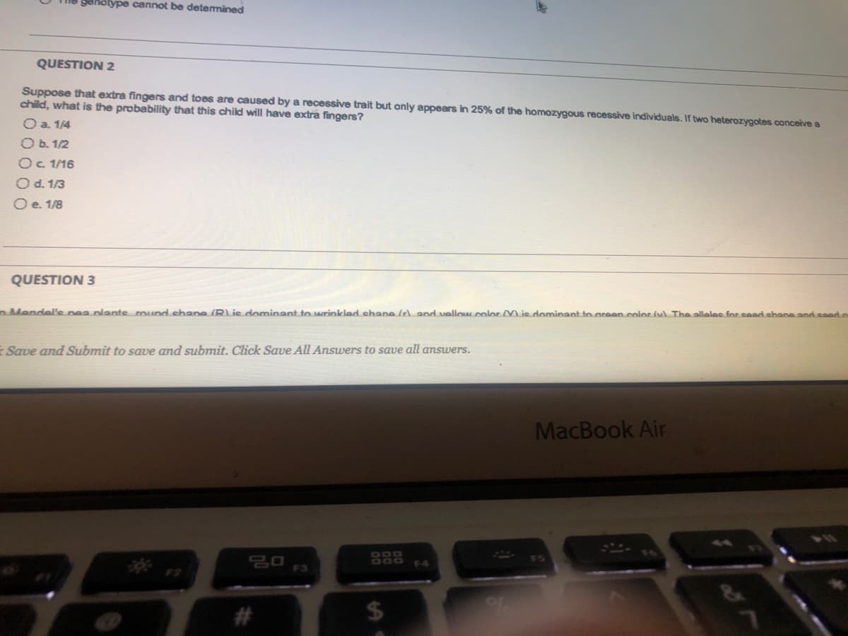 genotype cannot be determined
QUESTION 2
Suppose that extra fingers and toes are caused by a recessive trait but only appears in 25% of the homozygous recessive individuals. If two heterozygotes conceive a
child, what is the probability that this child will have extra fingers?
O a. 1/4
O b. 1/2
O c. 1/16
O d. 1/3
O e. 1/8
QUESTION 3
o Mendel'e nea plante mound shane (R) is dominant to wrinkled shane (e) and vallow color is dominant to green color (u) The alleles for saad shane and coad.c
Save and Submit to save and submit. Click Save All Answers to save all answers.
20
#
ODO
$
MacBook Air
