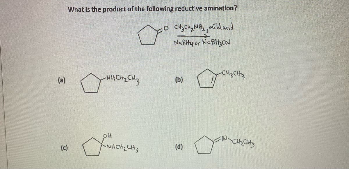 What is the product of the following reductive amination?
NaRty or NaBHzCN
CH2CH3
NHCH CH3
(b)
(a)
OH
(c)
NHCH2CH3
(d)
