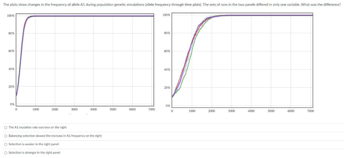 The plots show changes in the frequency of allele A1 during population genetic simulations (allele frequency through time plots). The sets of runs in the two panels differed in only one variable. What was the difference?
100%
80%
60%
40%
20%
0%
0
1000
2000
3000
4000
O The A1 mutation rate was less on the right
O Balancing selection slowed the increase in A1 frequency on the right
O Selection is weaker in the right panel
O Selection is stronger in the right panel
5000
6000
7000
100%
80%
60%
40%
20%
0%
0
1000
2000
3000
4000
5000
6000
7000