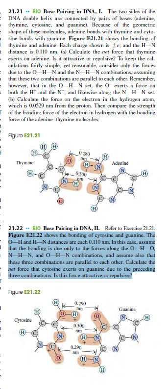 21.21 . BIO Base Pairing in DNA, I. The two sides of the
DNA double helix are connected by pairs of bases (adenine,
s thymine, cytosine, and guanine). Because of the geometric
e shape of these molecules, adenine bonds with thymine and cyto-
sine bonds with guanine. Figure E21.21 shows the bonding of
Ithymine and adenine. Each charge shown is te, and the H-N
t distance is 0.110 nm. (a) Calculate the net force that thymine
sexerts on adenine. Is it attractive or repulsive? To keep the cal-
culations fairly simple, yet reasonable, consider only the forces
= due to the O-H–N and the N-H–N combinations, assuming
that these two combinations are parallel to cach other. Remember,
however, that in the 0-H-N set, the O exerts a force on
both the H* and the N¯, and likewise along the N-H-N set.
(b) Calculate the force on the electron in the hydrogen atom,
which is 0.0529 nm from the proton. Then compare the strength
F of the bonding force of the electron in hydrogen with the bonding
force of the adenine-thymine molecules.
Figure E21.21
H
0.280
Thymine
(H)
Adenine
(H
0.300
(H)
pm
H)
21.22 . BIO Base Pairing in DNA, II. Refer to Exercise 21.21.
Figure E21.22 shows the bonding of cytosine and guanine. The
O-Hand H-N distances are each 0.110 nm. In this case, assume
that the bonding is due only to the forces along the O-H–0,
N-H-N, and 0–H–N combinations, and assume also that
these three combinations are parallel to cach other. Calculate the
net force that cytosine exerts on guanine due to the preceding
three combinations. Is this force attractive or repulsive?
Figure E21.22
0.290
Guanine
H)
Cytosine
0.300
nm
0.290
nm
H
