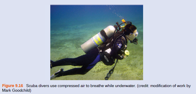 Figure 9.16 Scuba divers use compressed air to breathe while underwater. (credit: modification of work by
Mark Goodchild)
Divers
