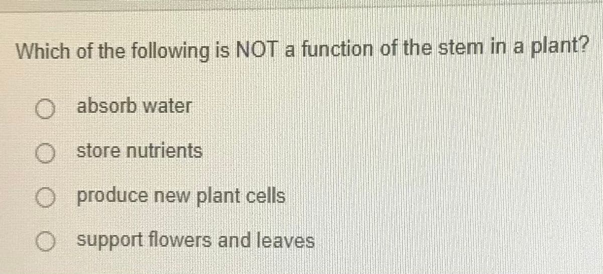Which of the following is NOT a function of the stem in a plant?
absorb water
O store nutrients
O produce new plant cells
O support flowers and leaves
