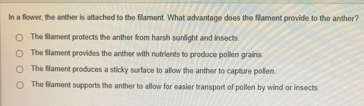 In a flower, the anther is attached to the filament. What advantage does the filament provide to the anther?
The filament protects the anther from harsh sunlight and insects.
O The filament provides the anther with nutrients to produce pollen grains.
The filament produces a sticky surface to allow the anther to capture pollen.
The filament supports the anther to allow for easier transport of pollen by wind or insects.

