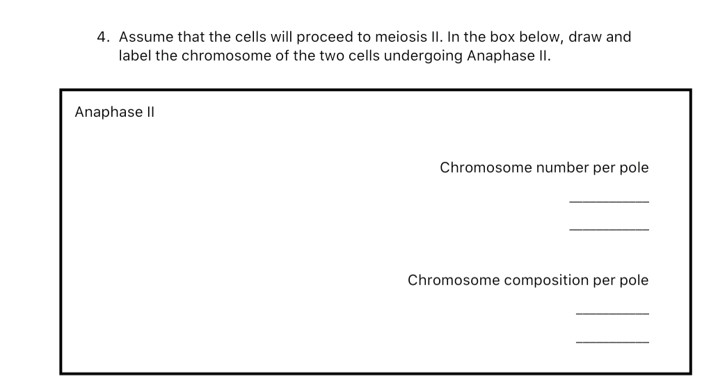 4. Assume that the cells will proceed to meiosis II. In the box below, draw and
label the chromosome of the two cells undergoing Anaphase II.
Anaphase II
Chromosome number per pole
Chromosome composition per pole
