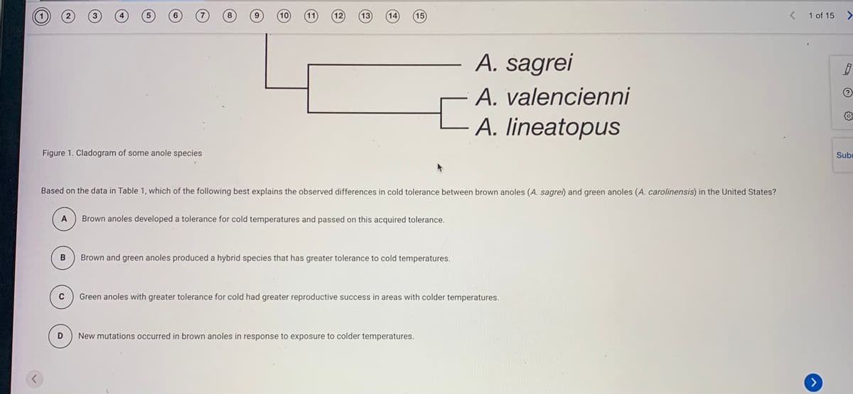 1
6.
8
(10
(11
12
13
14
15
1 of 15
<>
A. sagrei
A. valencienni
A. lineatopus
Figure 1. Cladogram of some anole species
Subi
Based on the data in Table 1, which of the following best explains the observed differences in cold tolerance between brown anoles (A. sagrei) and green anoles (A. carolinensis) in the United States?
A
Brown anoles developed a tolerance for cold temperatures and passed on this acquired tolerance.
B
Brown and green anoles produced a hybrid species that has greater tolerance to cold temperatures.
C
Green anoles with greater tolerance for cold had greater reproductive success in areas with colder temperatures.
New mutations occurred in brown anoles in response to exposure to colder temperatures.
>
